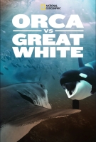 범고래 vs 백상아리
